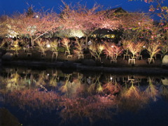 なばなの里