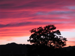 桂川夕日