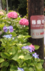 極楽寺・・・