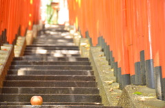 また君に恋してる