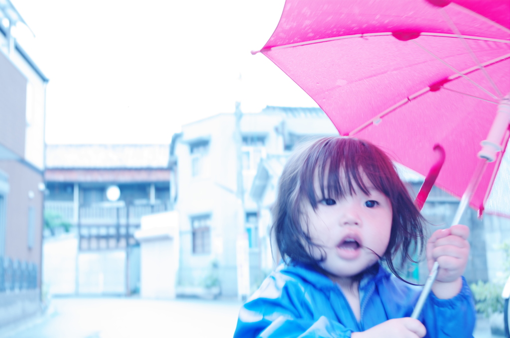 ある雨の日
