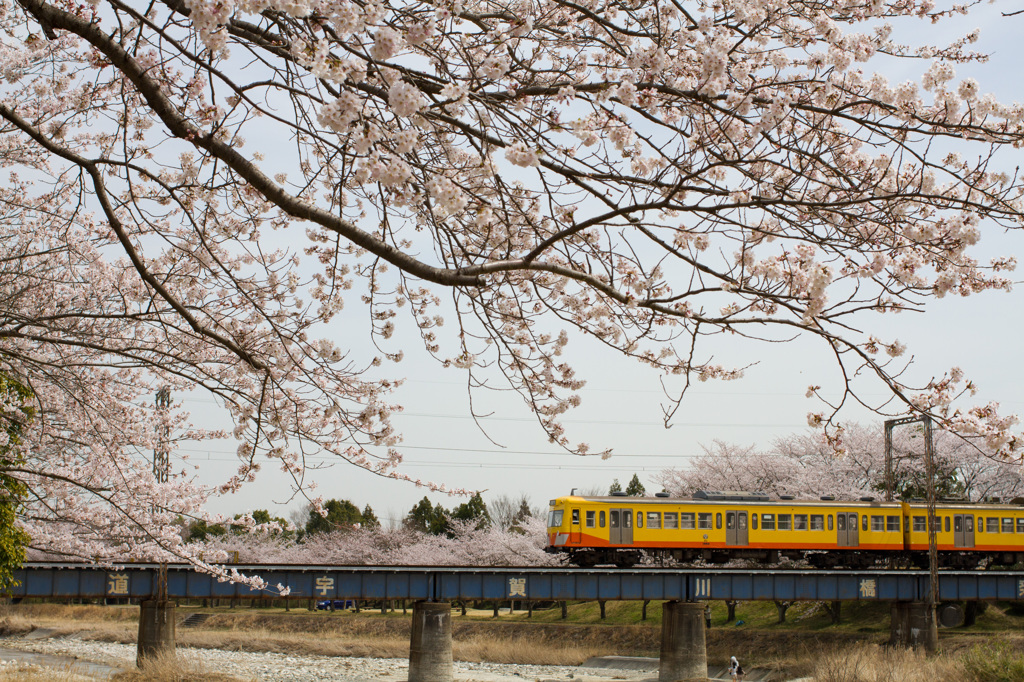 春風に乗って～三岐鉄道～