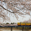 春風に乗って～三岐鉄道～