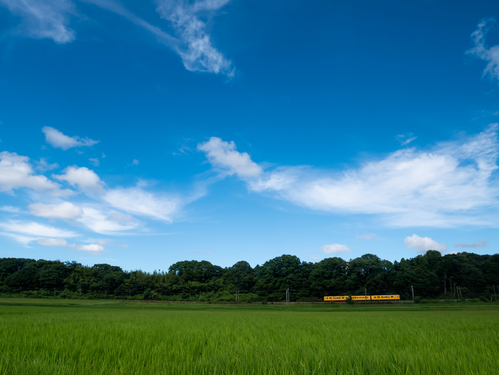 天高く