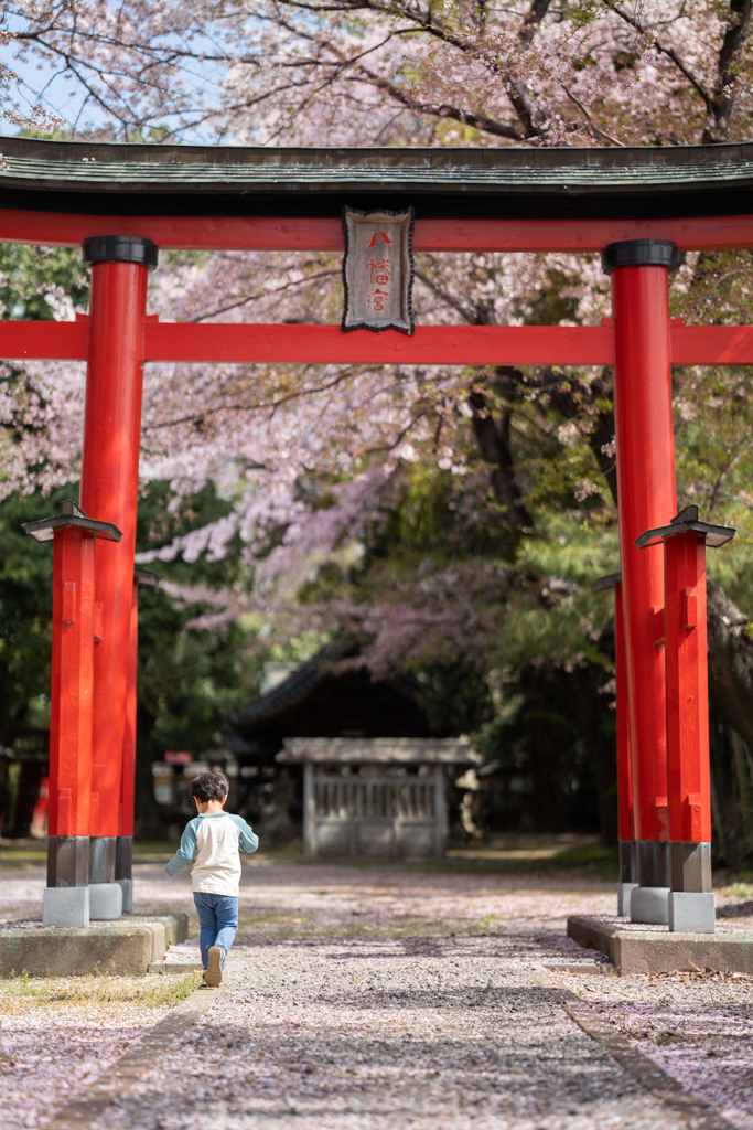 大鳥居