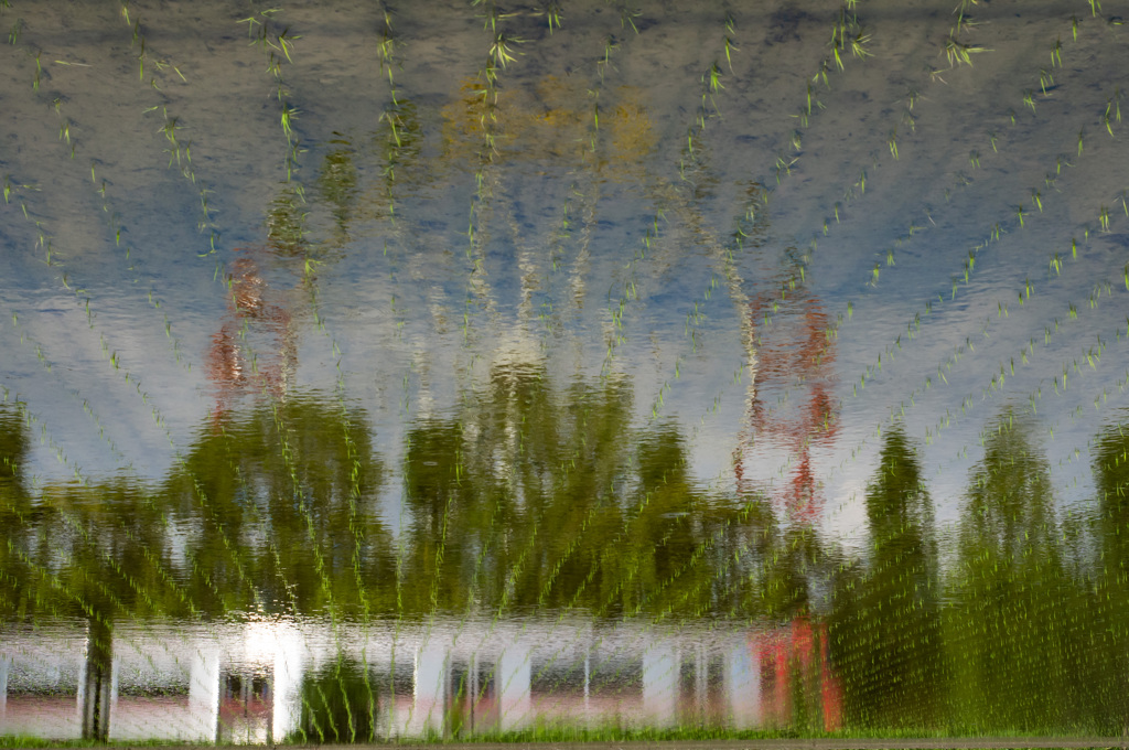 夢で見た遊園地