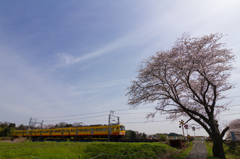 春色列車～三岐鉄道～