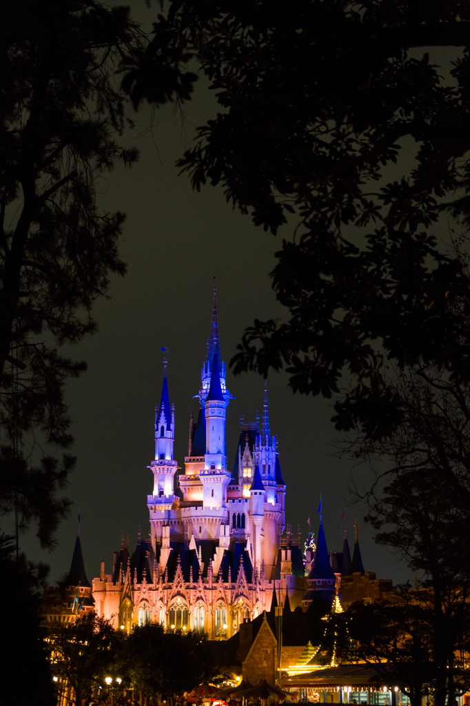 Cinderella castle
