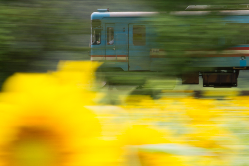 ナツイロがやってくる～樽見鉄道～