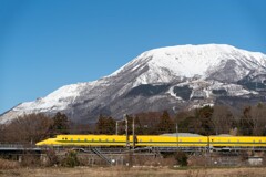 きいろの思い出