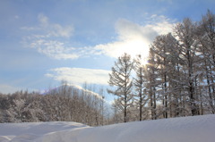 おひさしぶりです羊蹄山