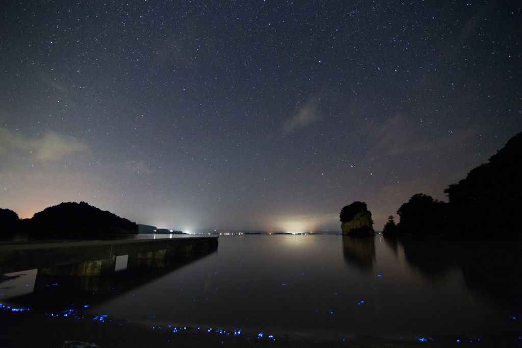 地上の星