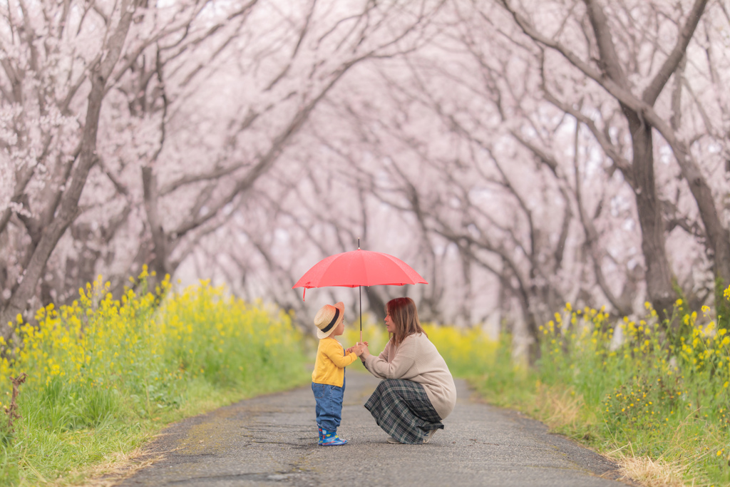 雨の帰り道