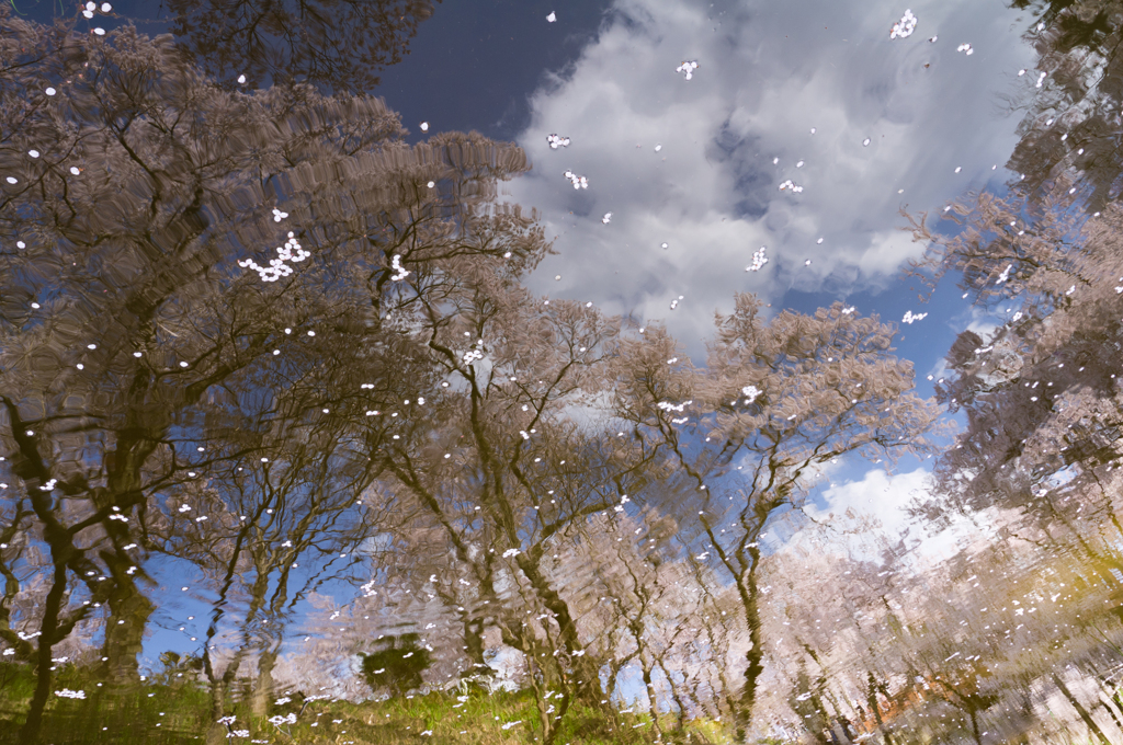 Another sky
