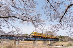 ローカル線の春旅