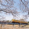 ローカル線の春旅