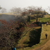 DSC03114
