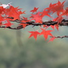 DSC02900