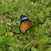 DSC01084