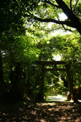 涼み