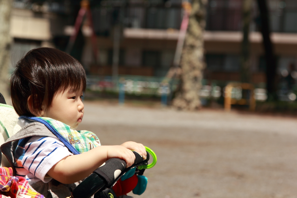 ハル散歩・亀有公園