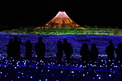 それもイルミネーション