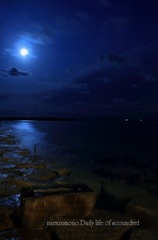 月夜