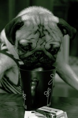 モーニングコーヒー