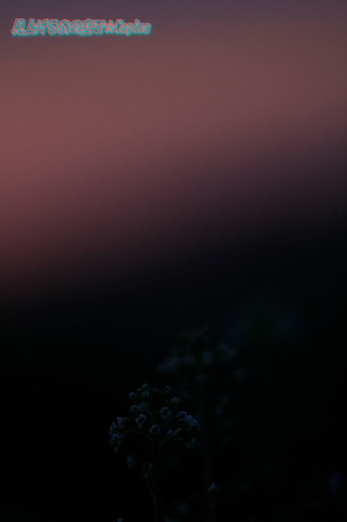 夜明け