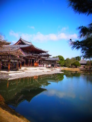 青い極楽