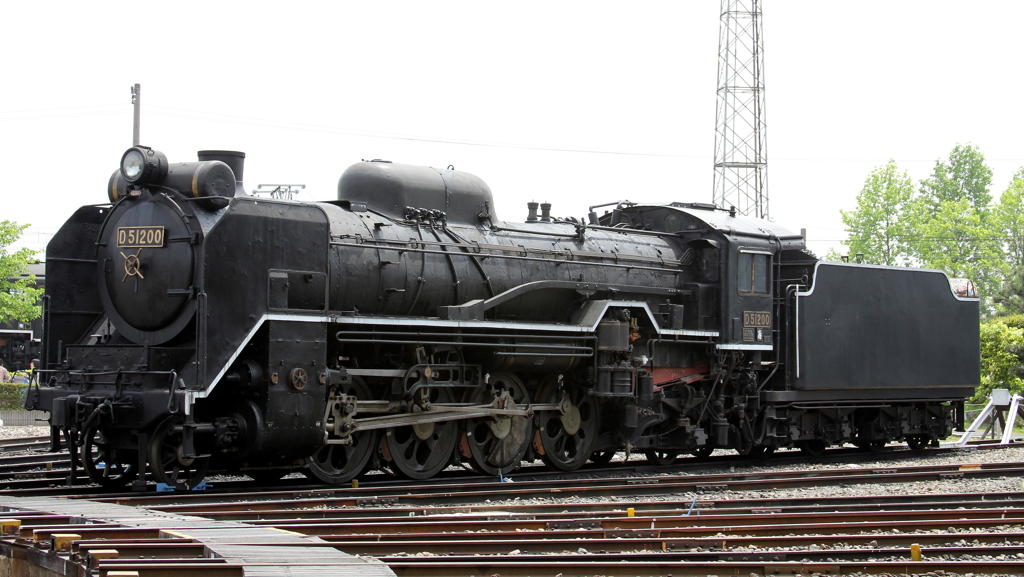 D51