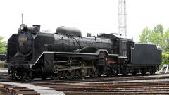 D51
