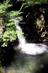 大原の滝