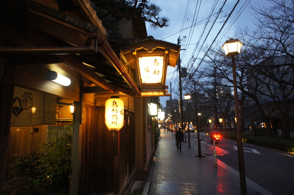 鴨川沿い