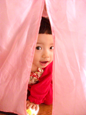 sarab003