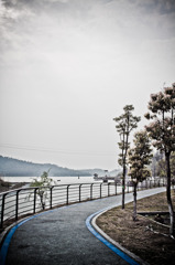 進む道
