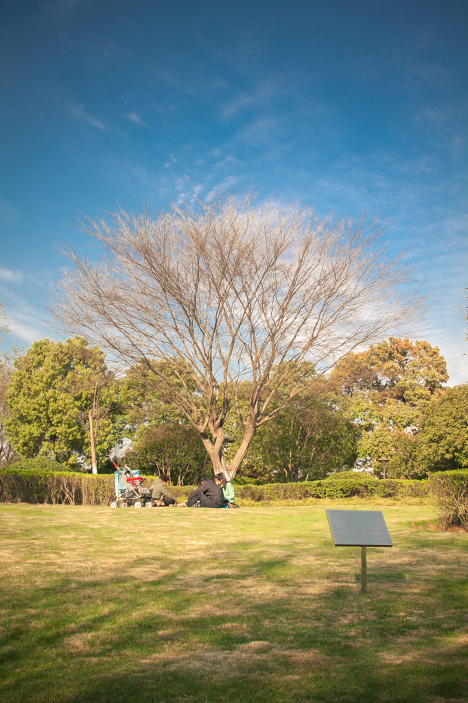 陽春