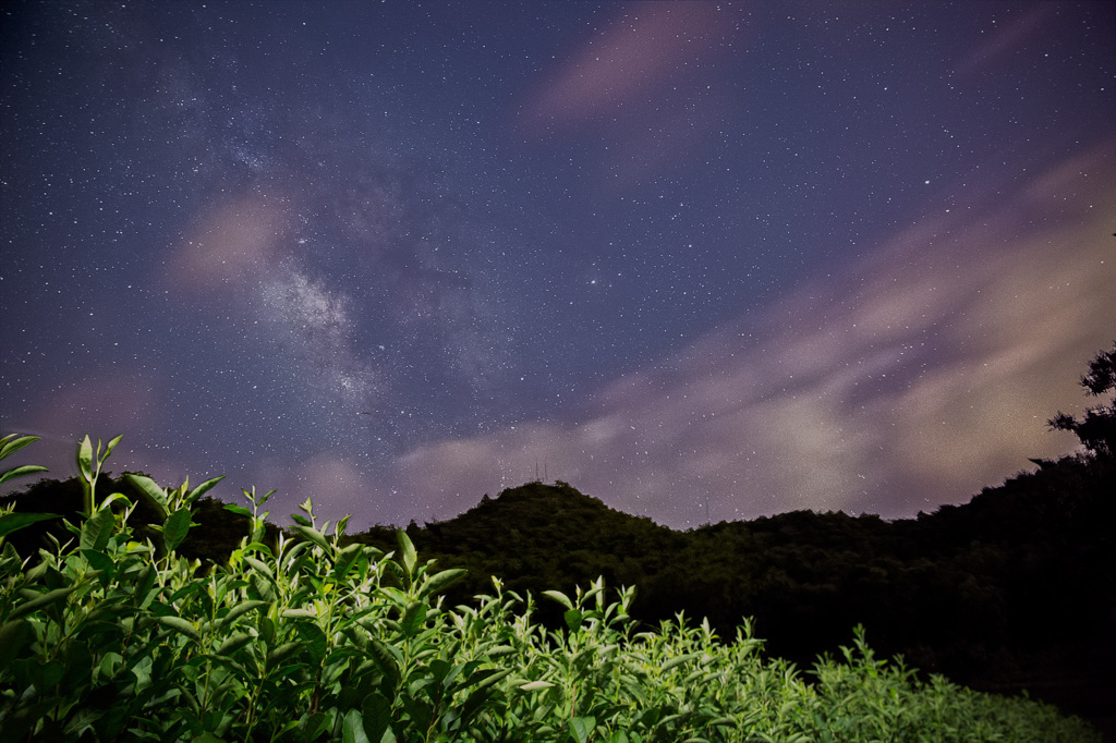 茶園と天の川