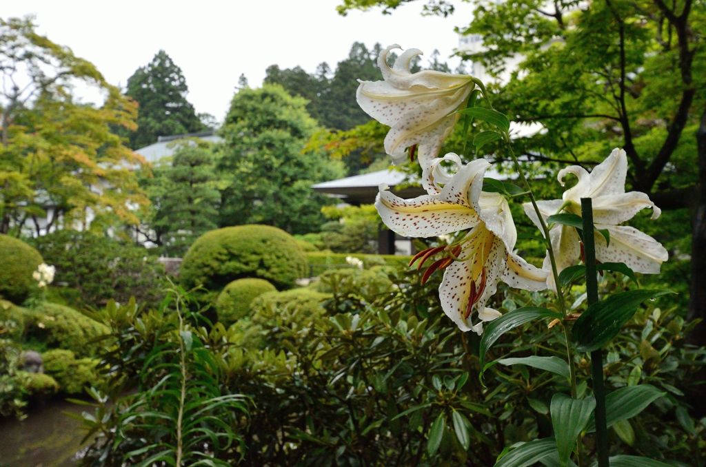 花