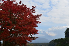 富士山と紅葉！