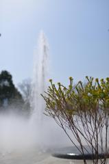 花と噴水！