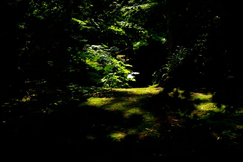 瑞巌寺その2