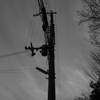 電柱