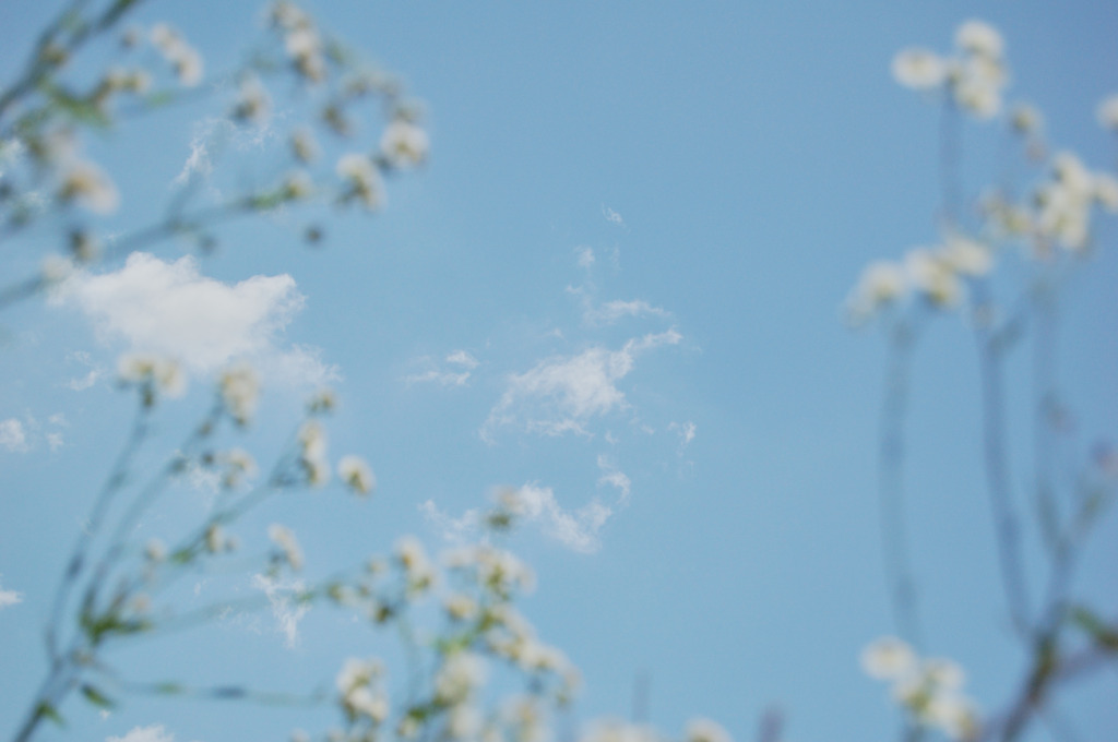 やわらかい空
