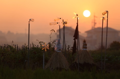 夕日に照らされて