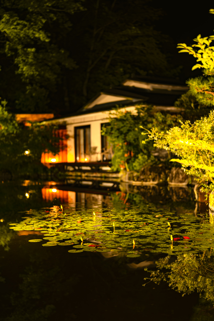 蓮池のある庭園-NIGHT