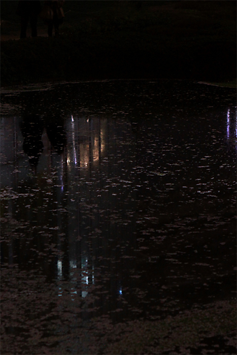 恋人の春夜