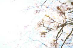 旅立ちの、時。