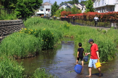 野川