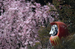 春うらら